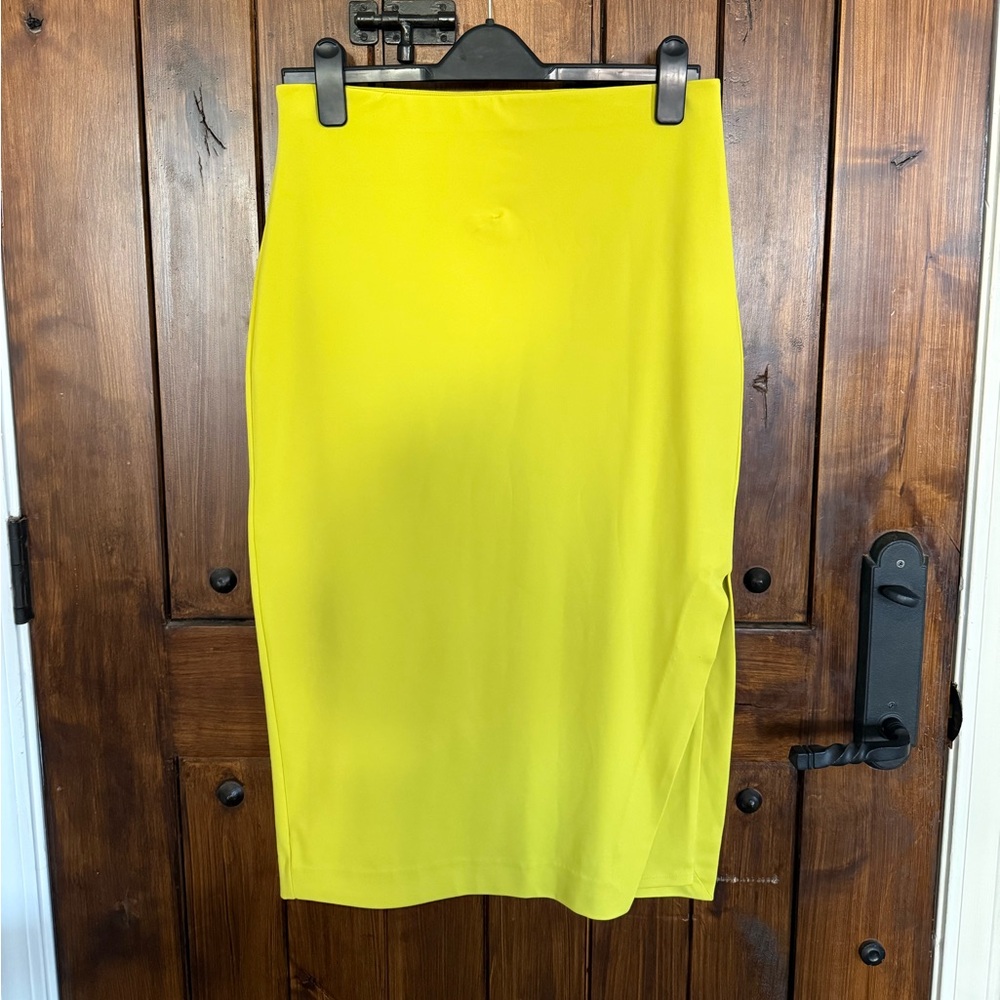Express Pencil Skirt